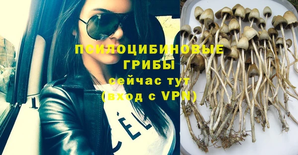 jwh Зеленодольск