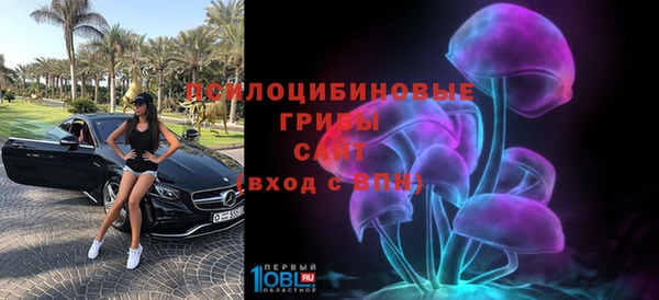 гидропоника Заволжск