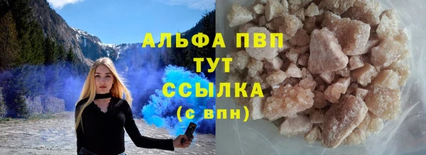 СК Заводоуковск