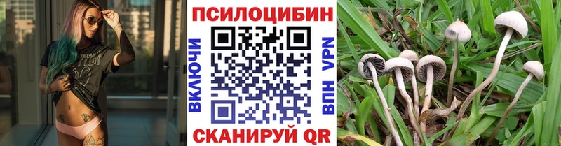 Галлюциногенные грибы мицелий  магазин продажи   блэк спрут ССЫЛКА  Майкоп 
